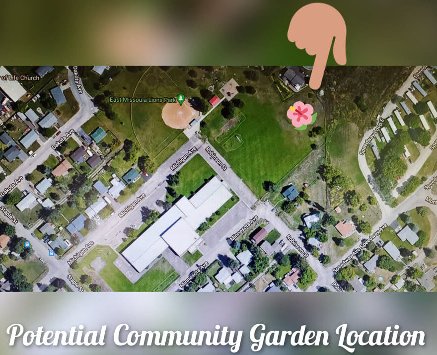 Community Garden Dreams